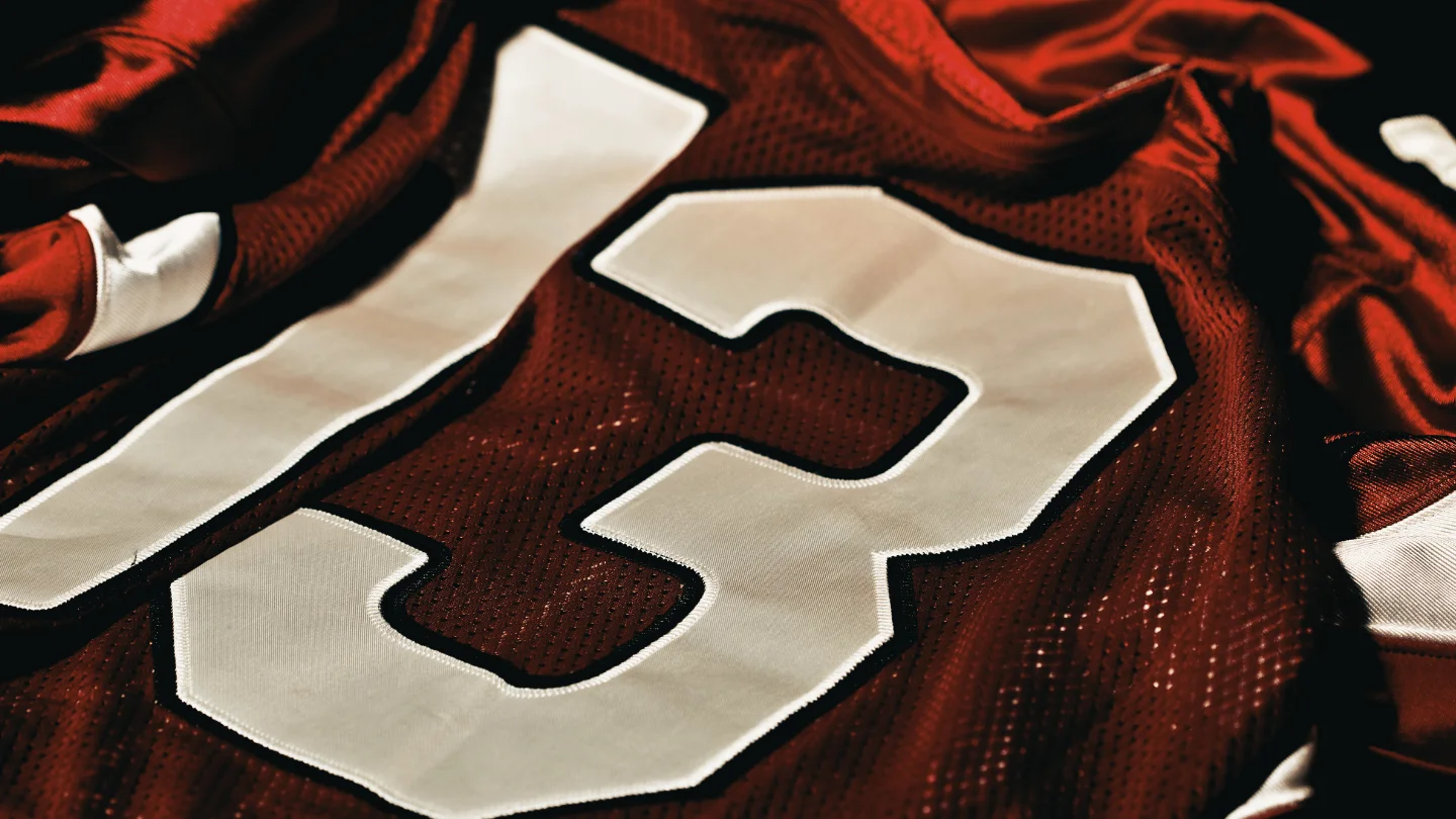 Polyester The King of Sports Jersey Fabric