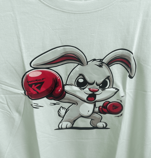 High Quality DTF Printed T-Shirts in Bangladesh | Low MOQ & Best Prices