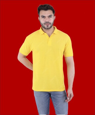 Polo 1